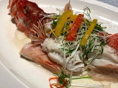 东星斑-云境生态园(红谷滩店)