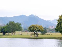 -南宁花花大世界景区