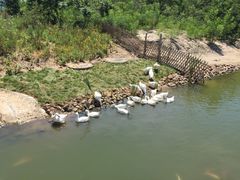 iphone_upload_pic-北戴河圣蓝海洋公园