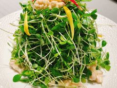 -北平食府·北京烤鸭(北京西站六里桥店)