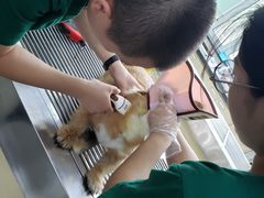 -美联众合动物医院(唯恩分院)