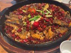 -老板恋上鱼(恒隆广场店)