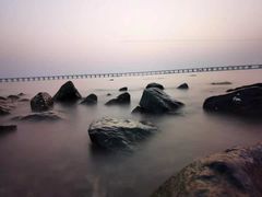 -宝安西湾红树林湿地公园