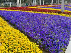 -天鹅湖体育公园