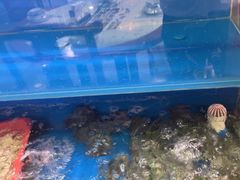 -寻乡迹· 湖南家宴(竹坑店)