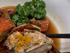 -蝶园·装修中(BFC外滩金融中心店)