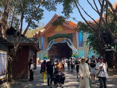 -西双版纳原始森林公园