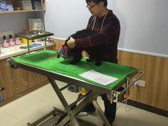 -瑞鹏宠物医院·内科·中兽医·骨科(苗圃店)