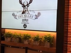 -鹿角巷The Alley(龙湖天街店)