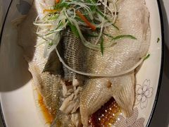 广式蒸白条-春暖花开(西溪店)