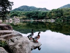 -白马涧龙池景区