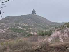 -定都阁