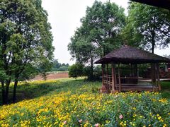 -保利石象湖景区