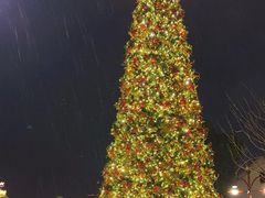 -迪士尼小镇