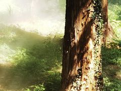 -国家植物园