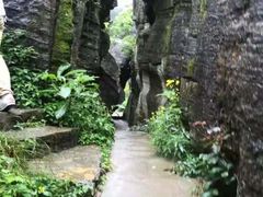 -梦幻奥陶纪景区