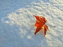 -北海道厅旧本厅舍(旧本庁舎)