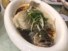 清蒸鲈鱼-椿记烧鹅(叠彩店)
