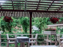 -Local泰莲庭(虹鳟鱼店)