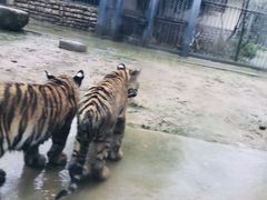 -上方山森林动物世界