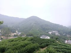 -龙井村