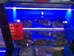 -阳光海鲜大排档
