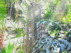 -北京植物园-展览温室