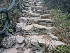 -梧桐山风景名胜区