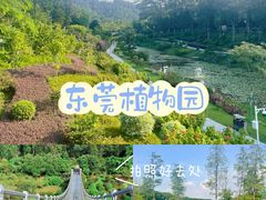 -东莞植物园