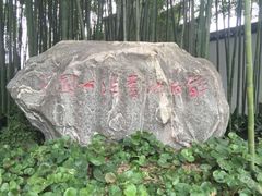 -上海醉白池公园