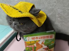 -瑞虹新天地月亮湾
