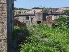 -西湖外事游船(花港观鱼码头)