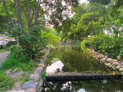 -成都市活水公园