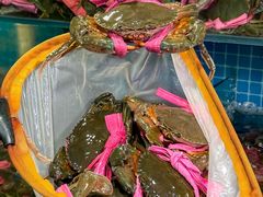 -辣螃铠盆盆蟹大排档(总店)