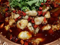 -沪小二炭火蛙锅(淮海中路美食不夜城店)