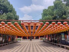 -皇罗禅寺