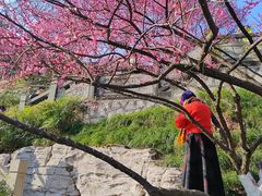 -重庆彩云湖湿地公园