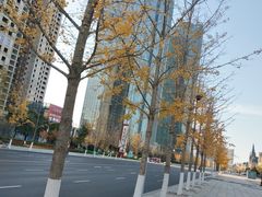 -东港音乐喷泉广场