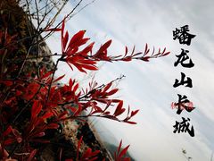 -蟠龙山长城景区