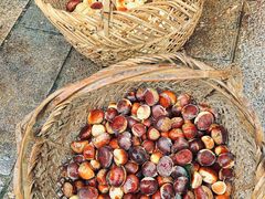 -竹乡人家大鱼头(南山竹海店)