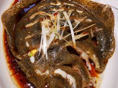 清蒸多宝鱼-峨嵋酒家总店(车公庄店)