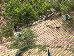 -青藏高原野生动物园