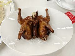 沙田红烧乳鸽-渔意楼·驰名沙田乳鸽(五羊店)