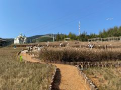 -瓷天下海丝谷