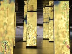-中国湿地博物馆