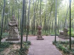 -紫金山山顶公园