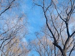 -南海子公园