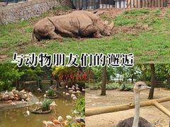 -大连森林动物园