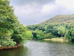 -白马涧龙池景区