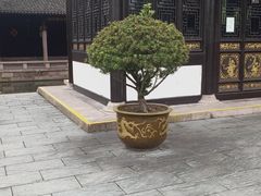 -宁波茶文化博物院